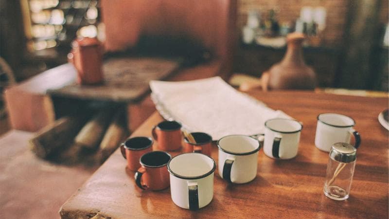 The Complete Mentorship Masterclass: Coach, Guide, Grow